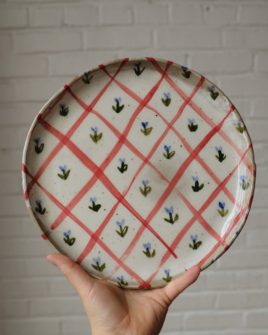 picnic dinner plate 11