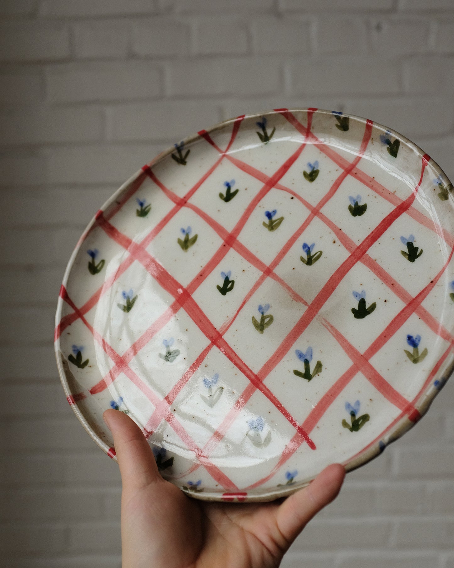 picnic dinner plate 11