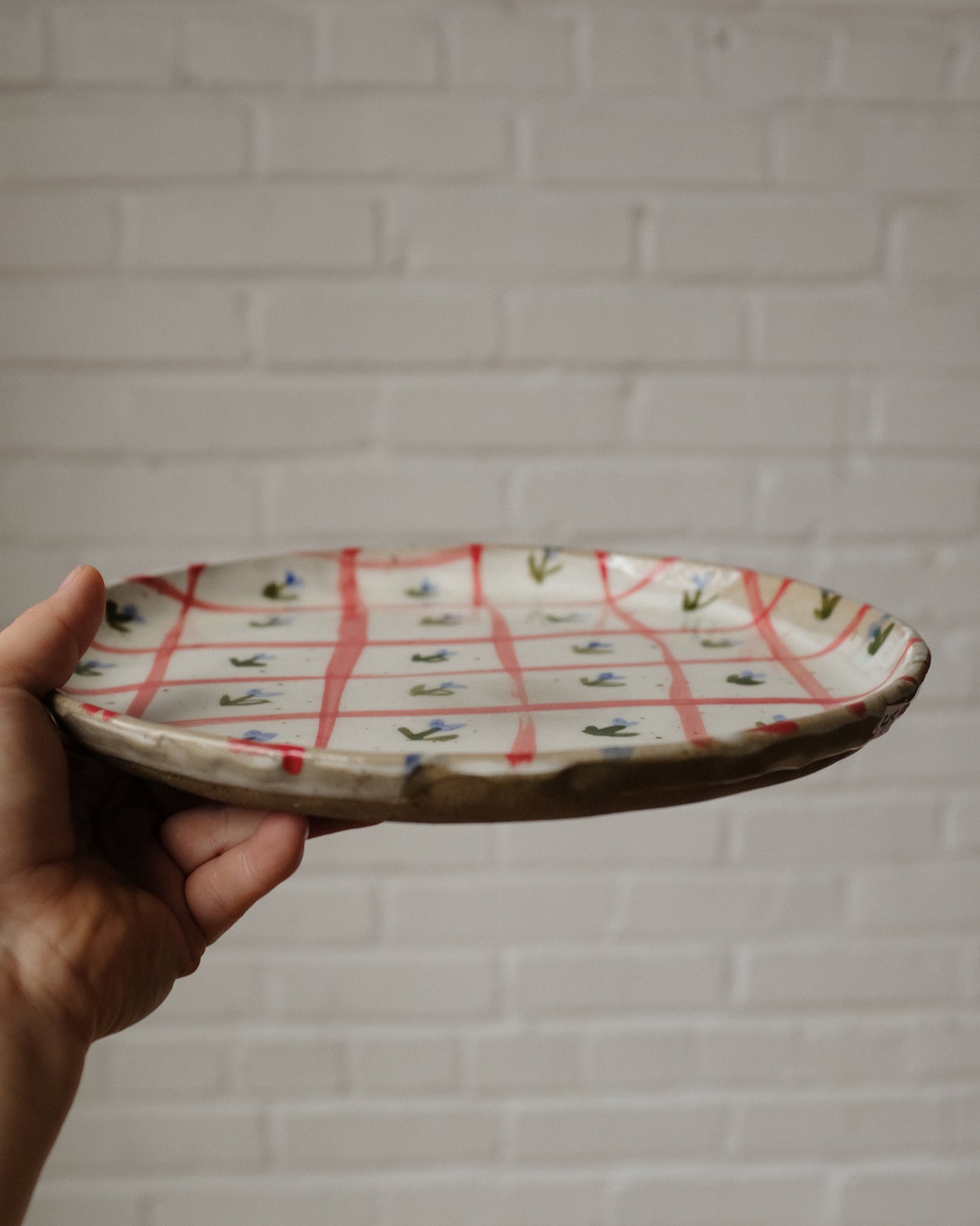 picnic dinner plate 11