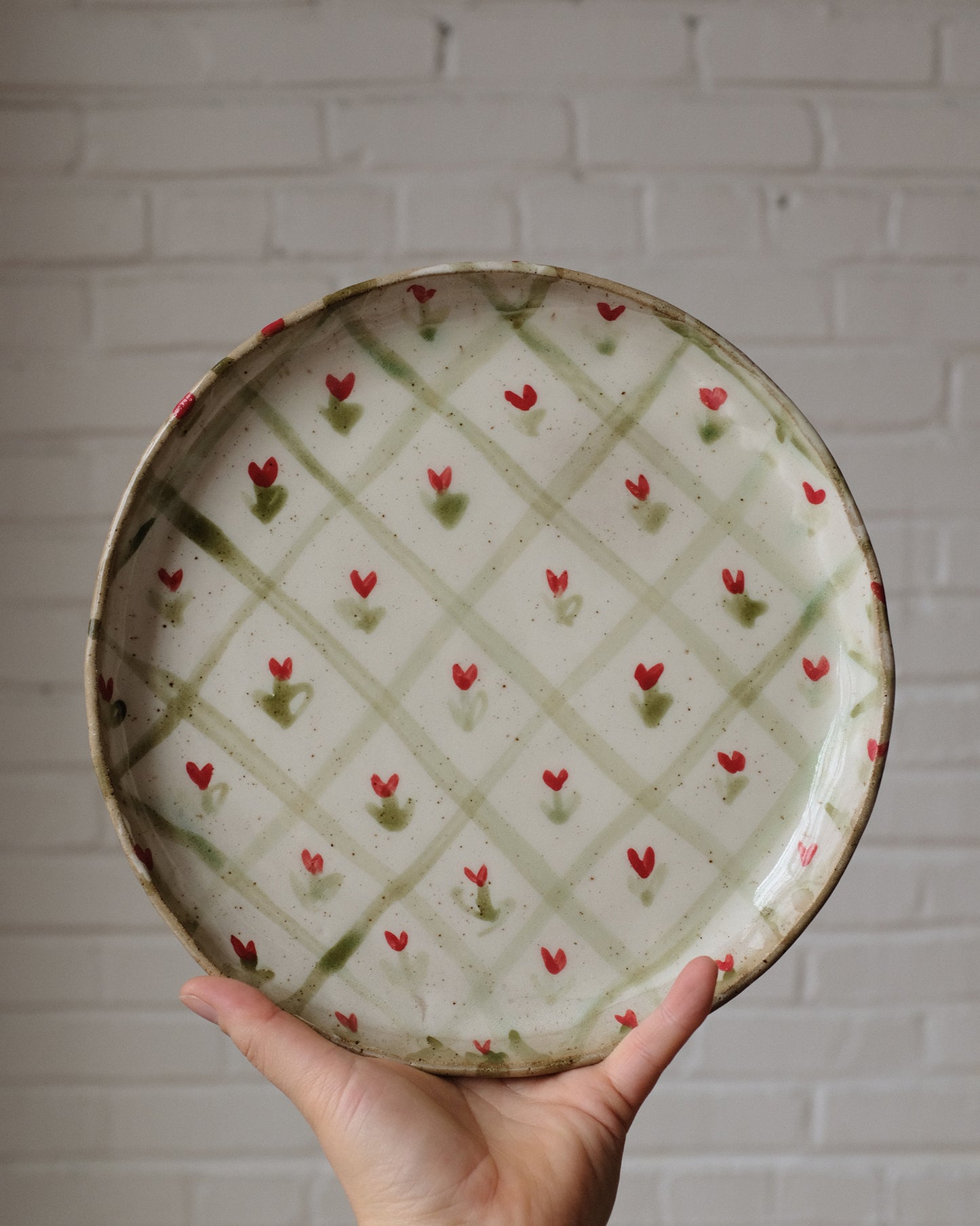 picnic dinner plate 12