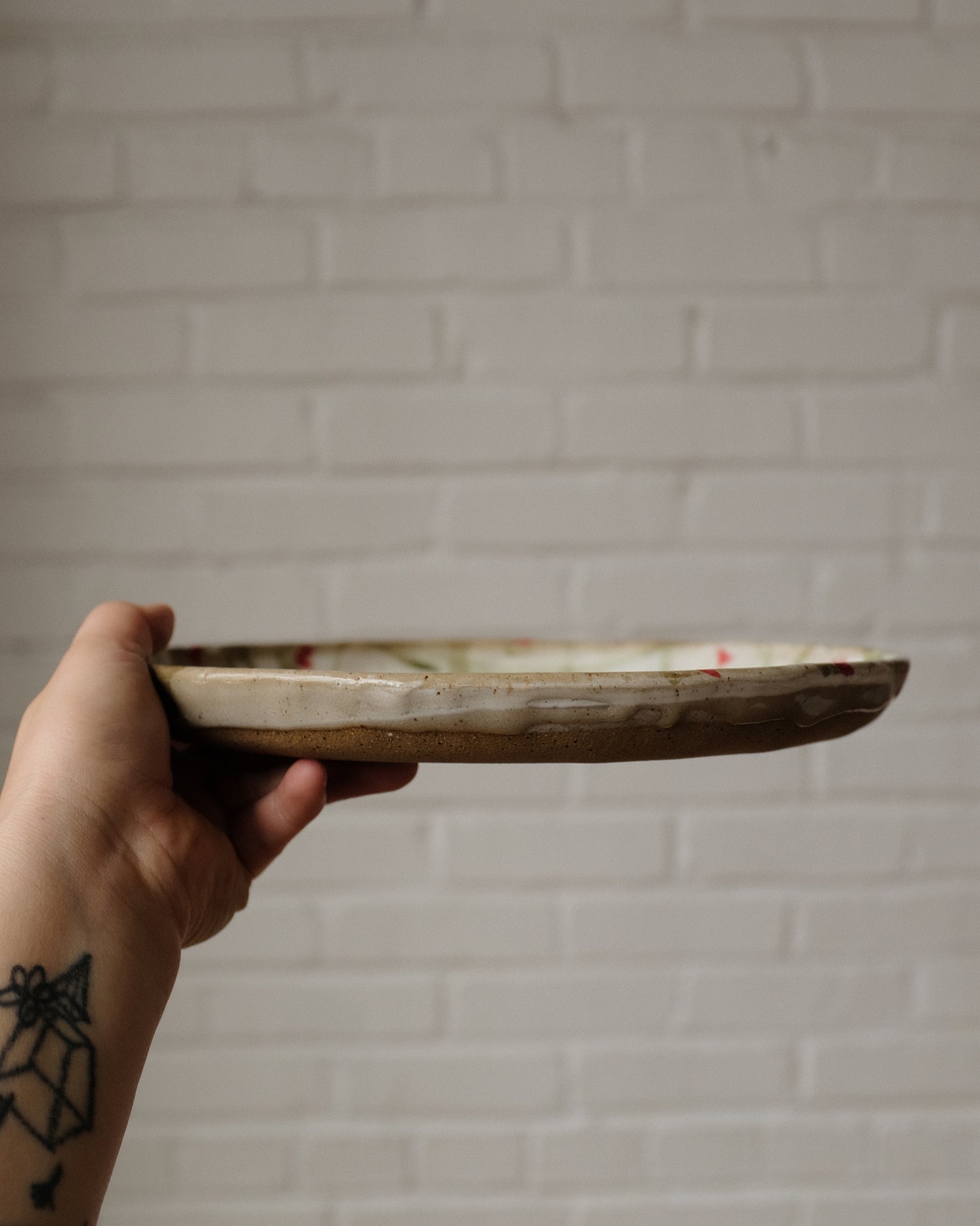 picnic dinner plate 12