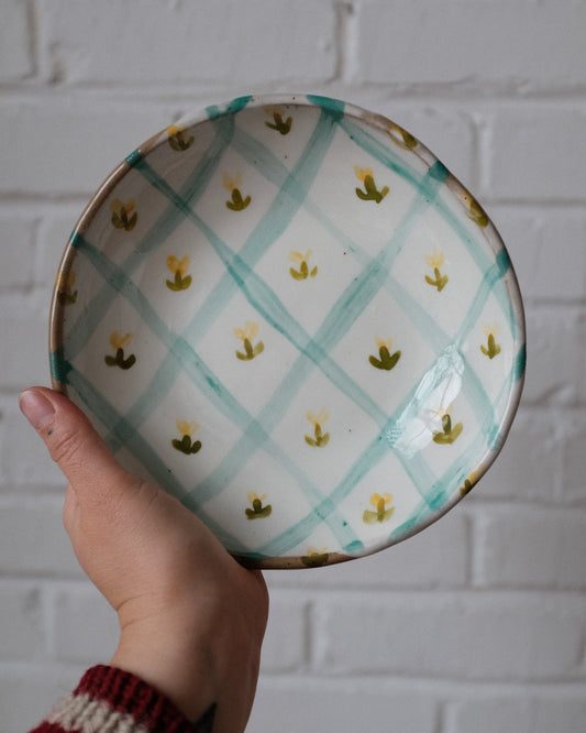 picnic pasta bowl 08