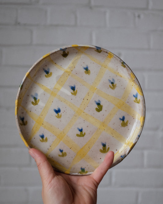 picnic side plate 10