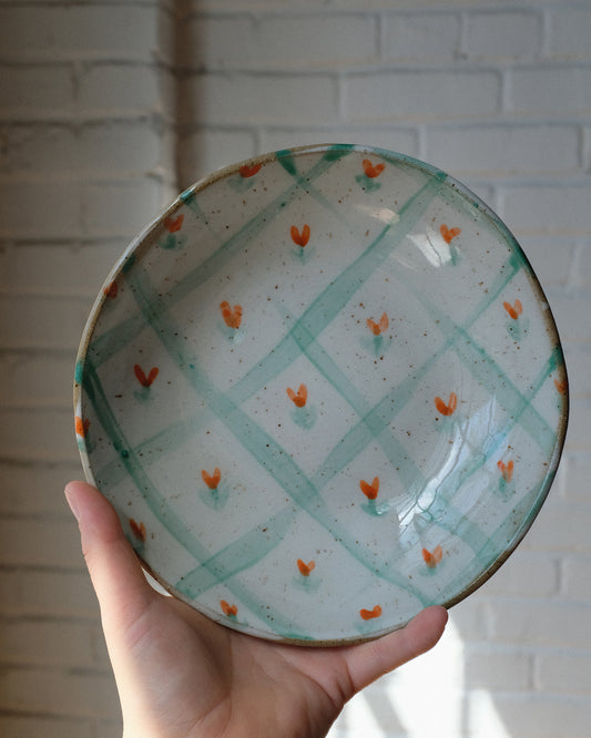 picnic pasta bowl 08