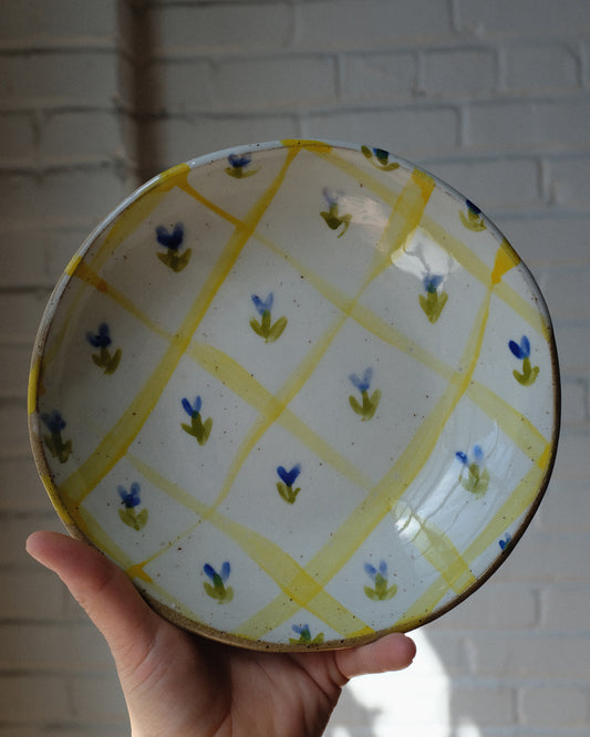 picnic pasta bowl 09