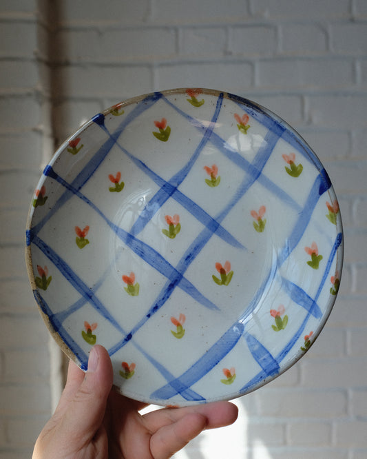 picnic pasta bowl 10