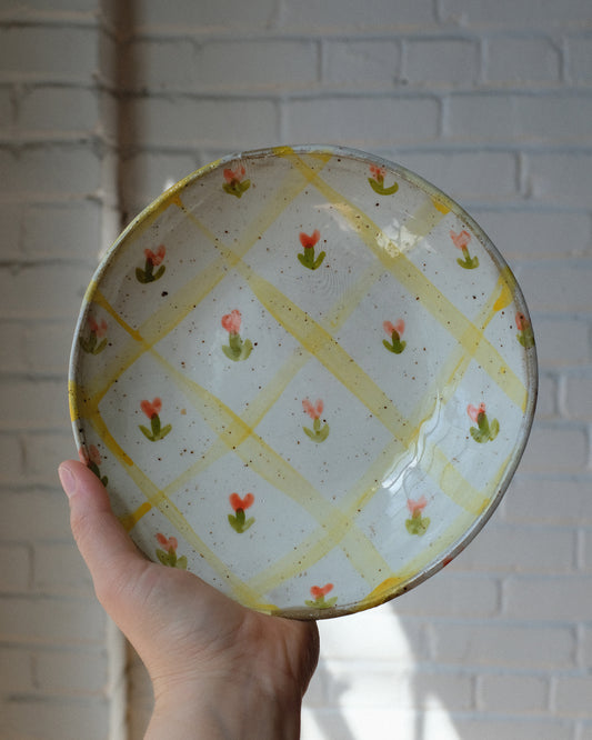 picnic pasta bowl 11