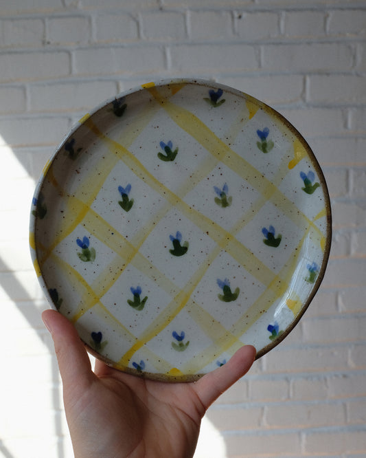picnic side plate 10