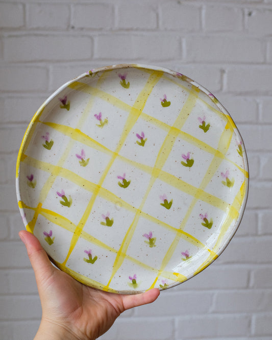 picnic dinner plate 01