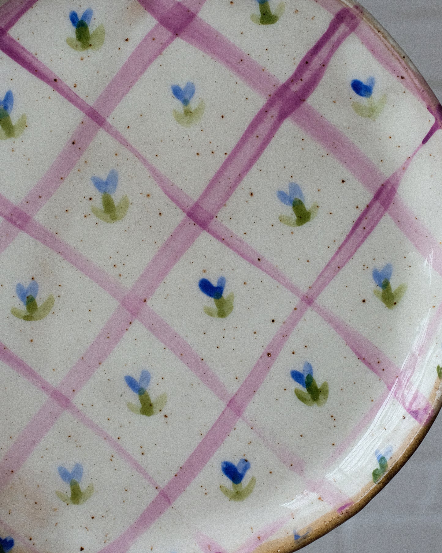 picnic dinner plate 04