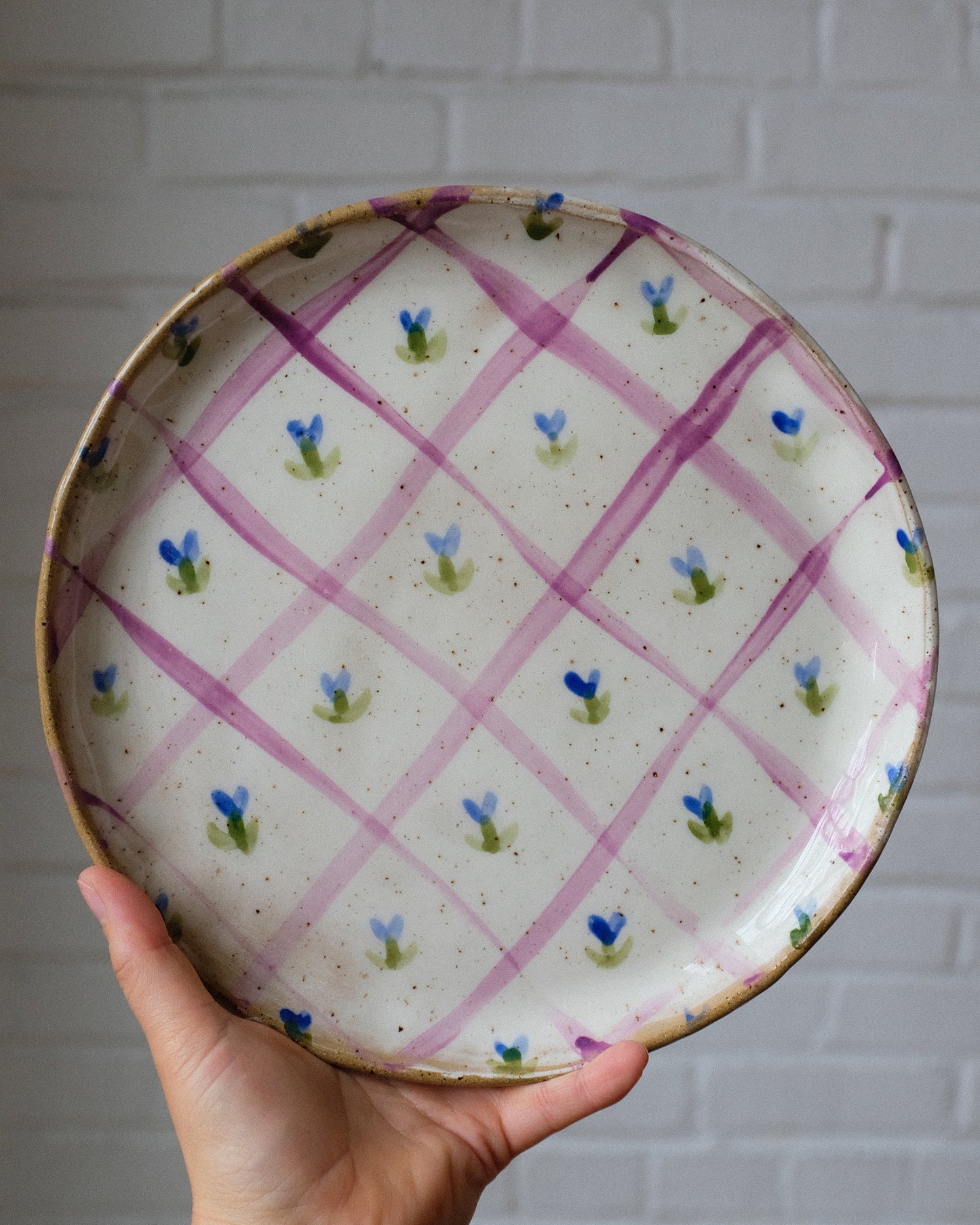 picnic dinner plate 04
