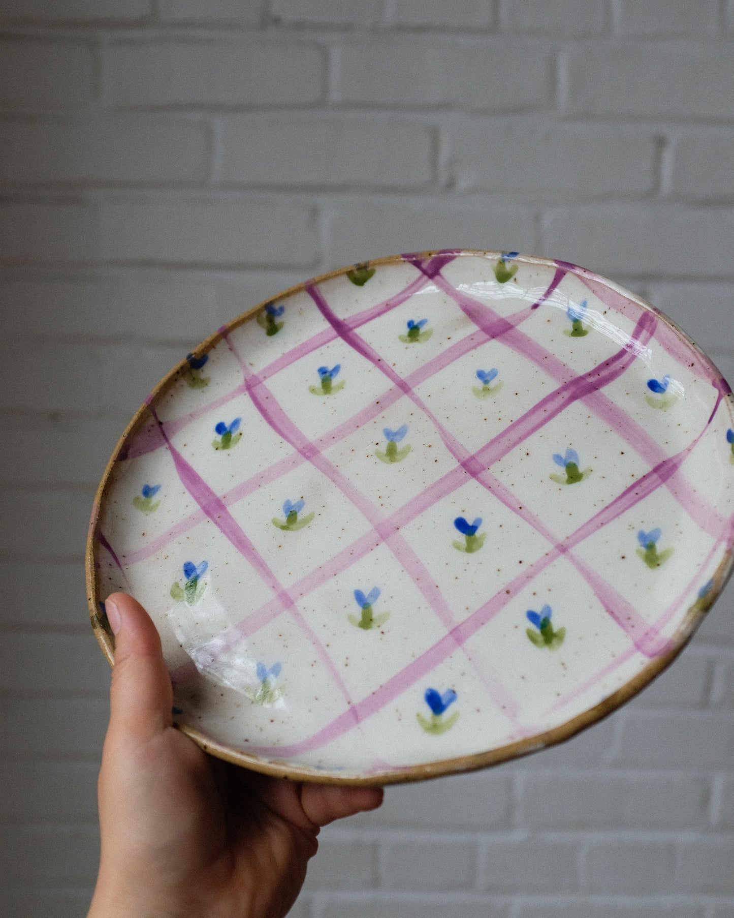 picnic dinner plate 04
