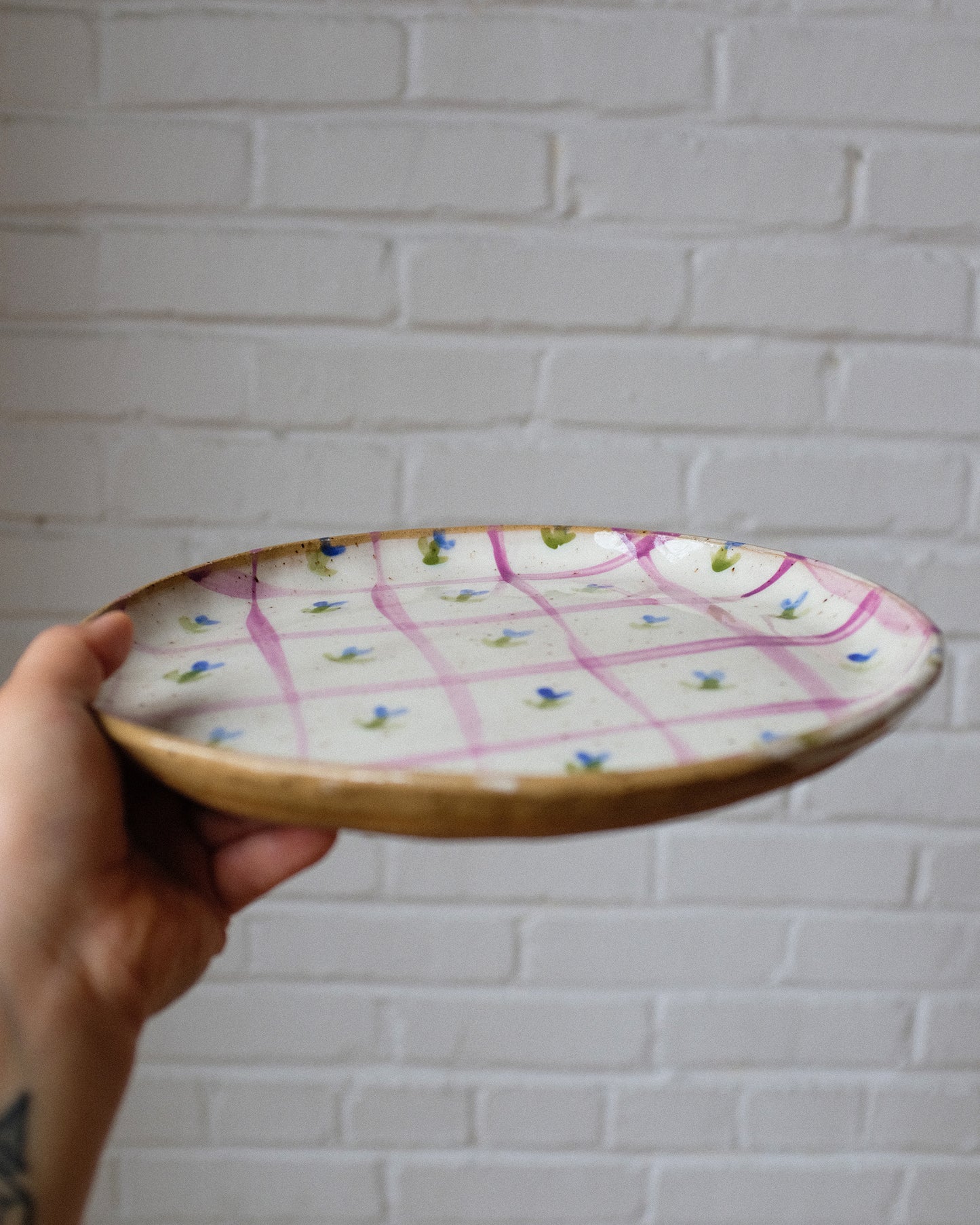 picnic dinner plate 04
