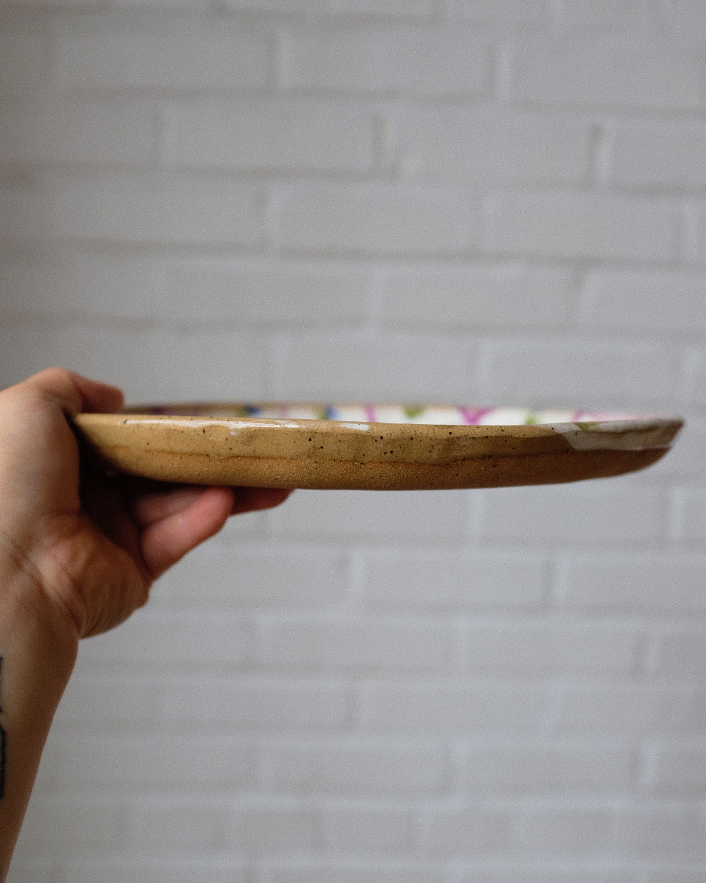 picnic dinner plate 04