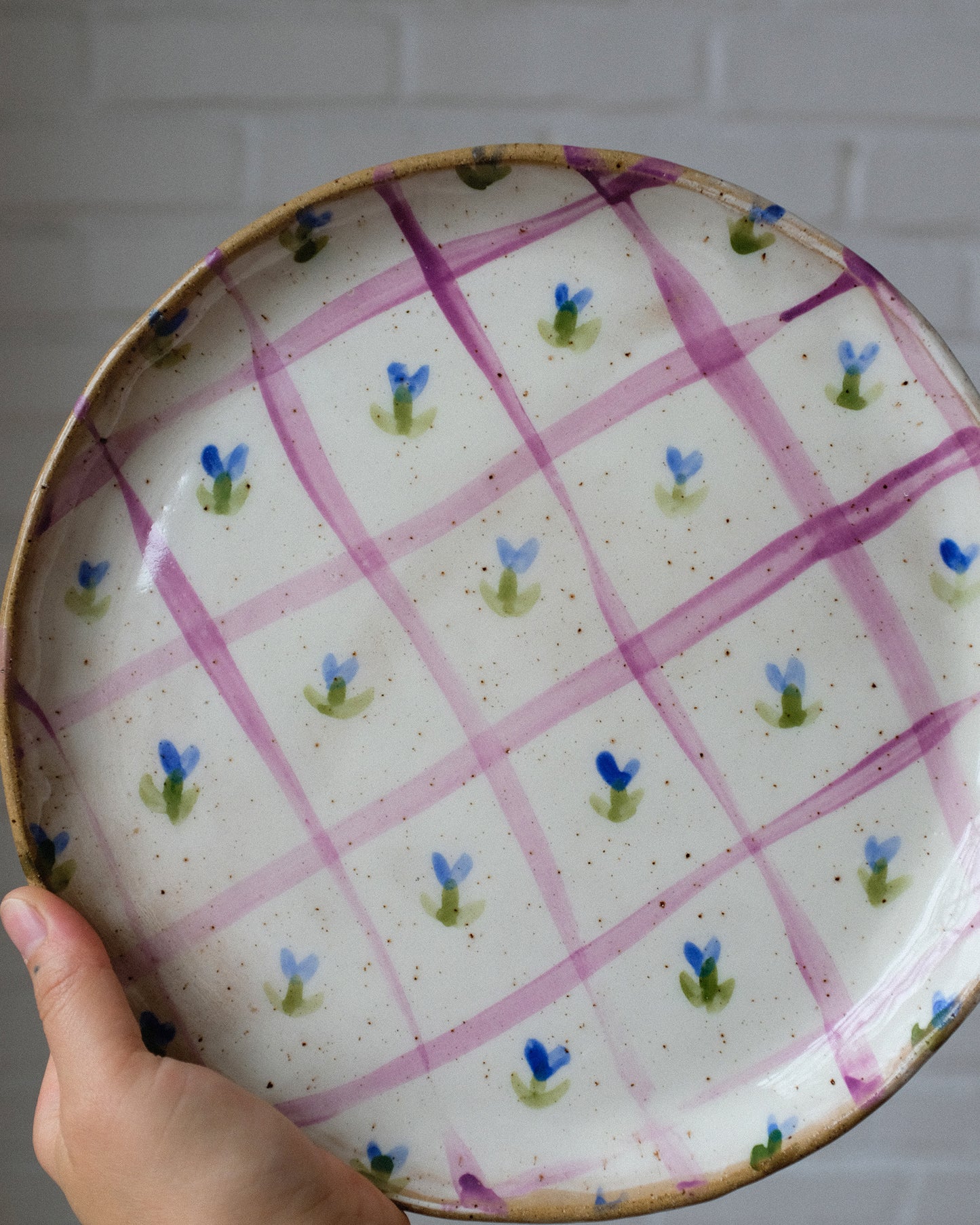 picnic dinner plate 04