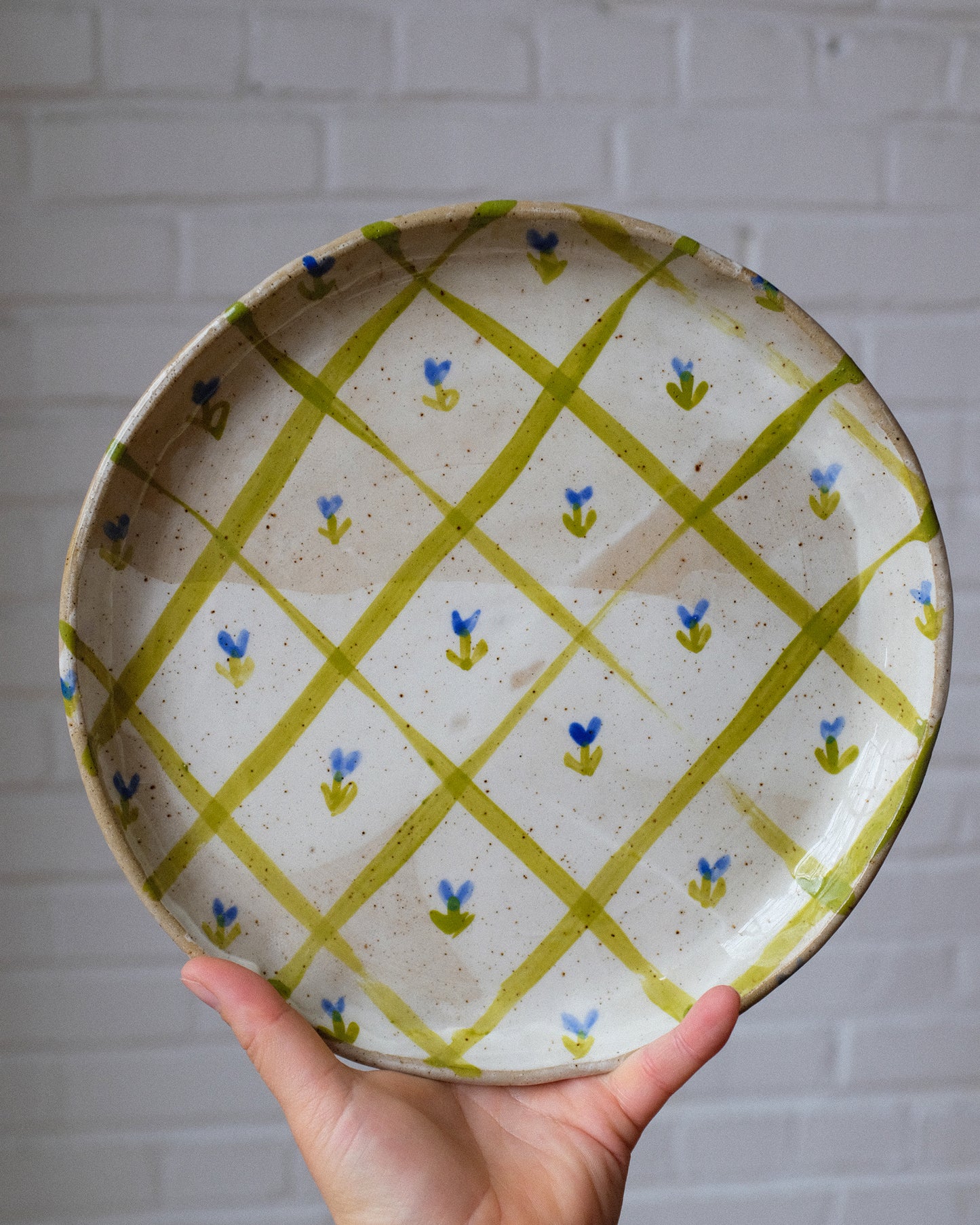picnic dinner plate 05