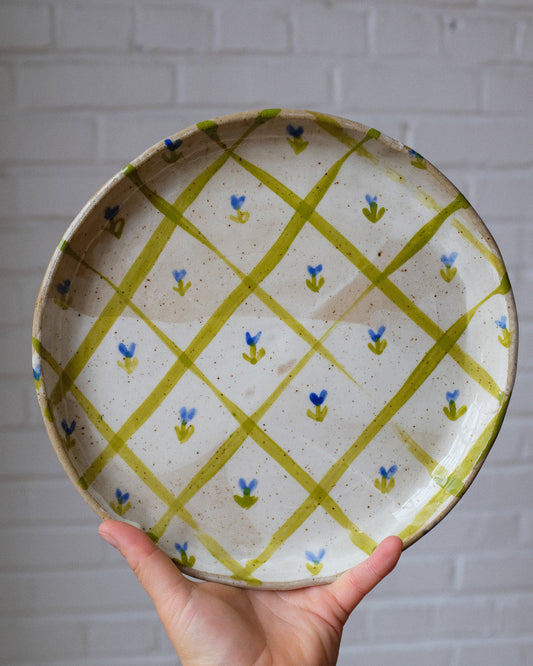 picnic dinner plate 05