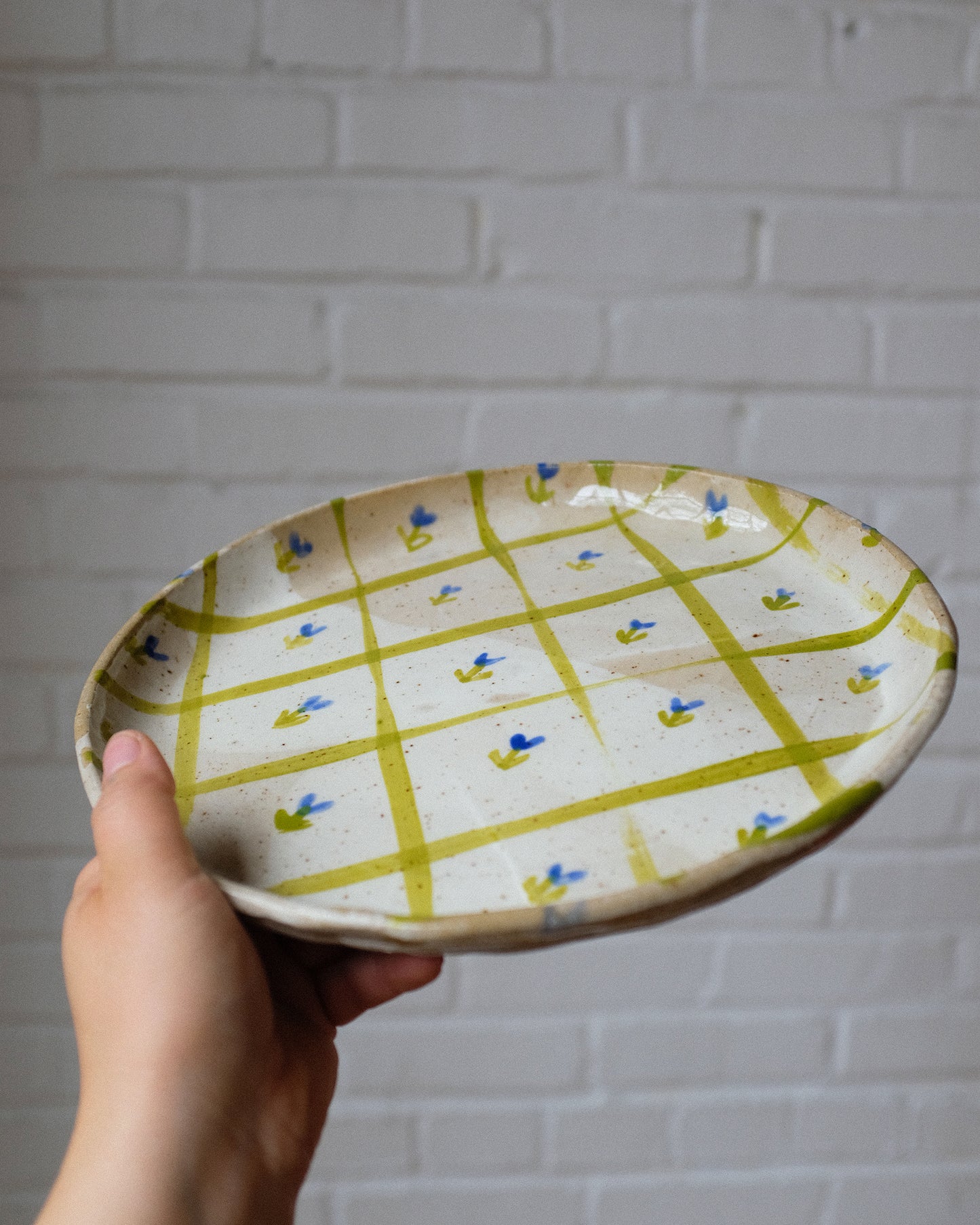 picnic dinner plate 05