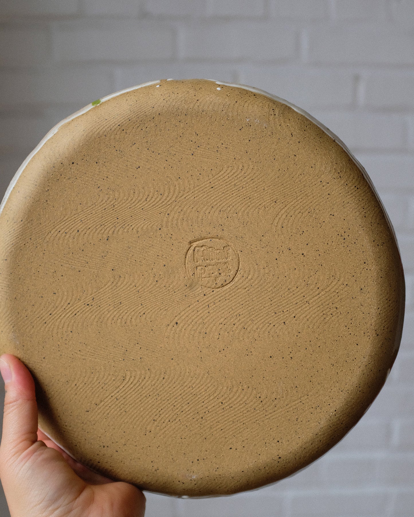 picnic dinner plate 05