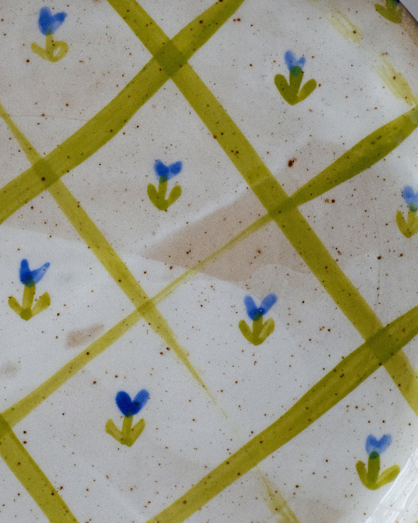 picnic dinner plate 05