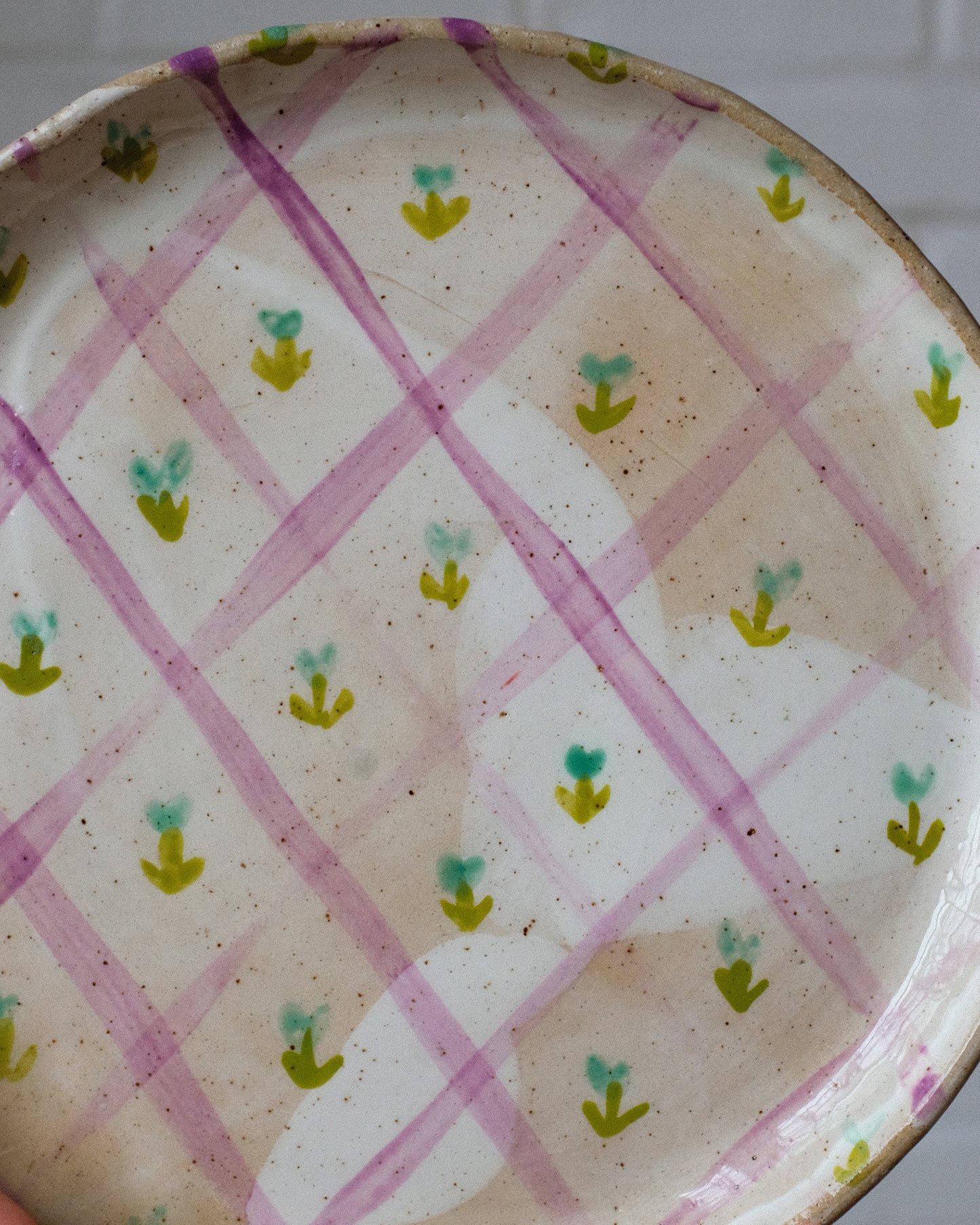 picnic dinner plate 06