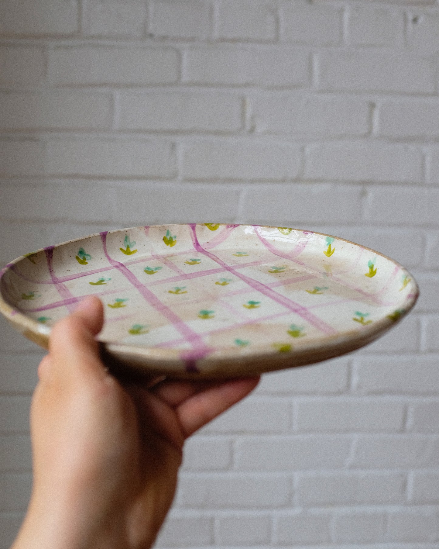 picnic dinner plate 06