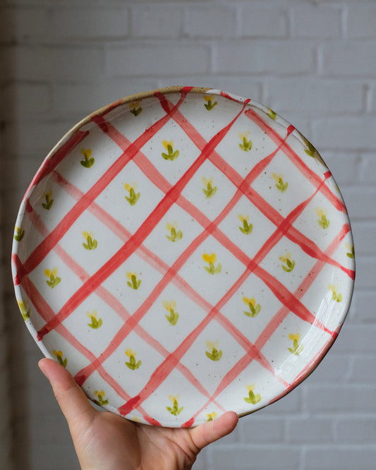 picnic dinner plate 07