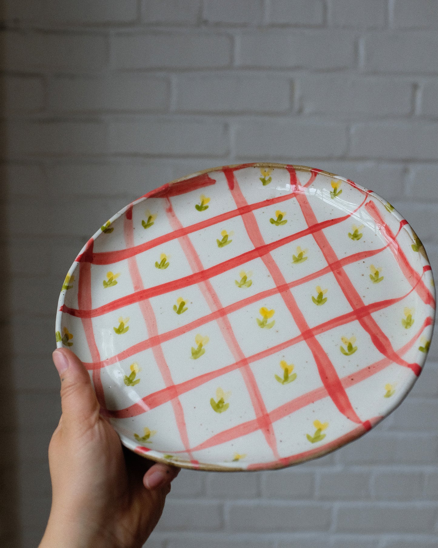 picnic dinner plate 07