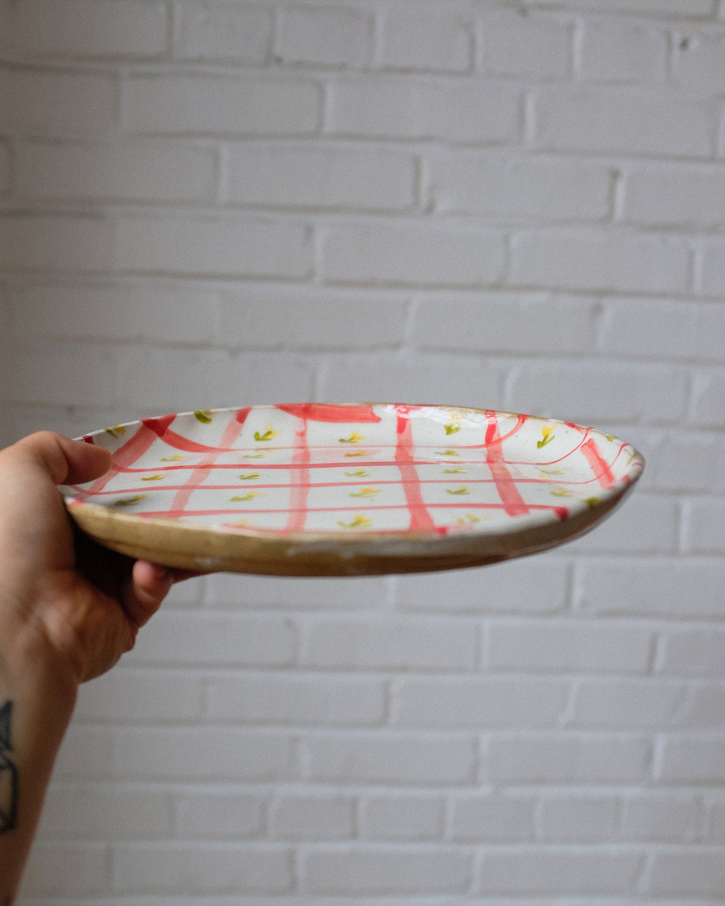 picnic dinner plate 07