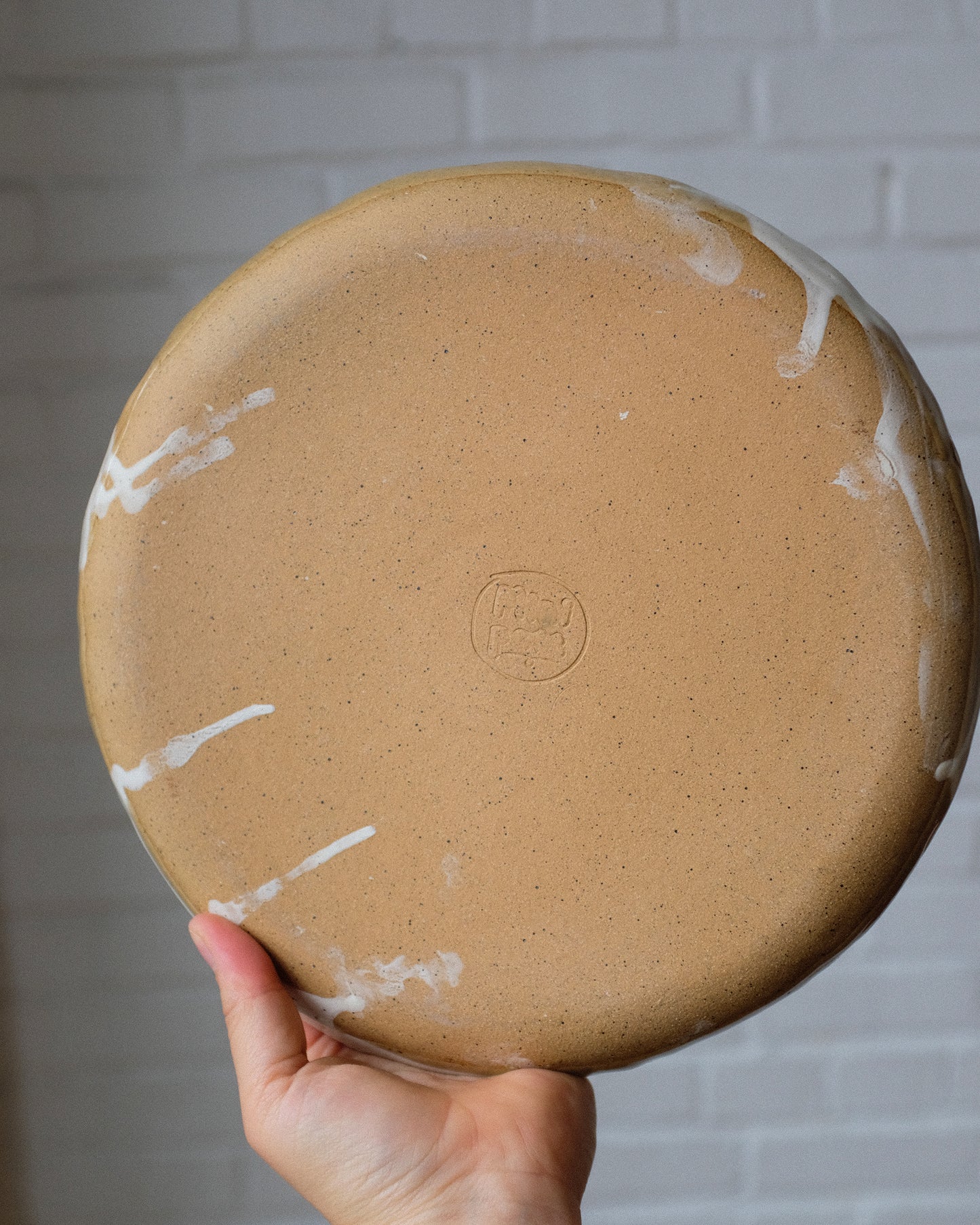 picnic dinner plate 07