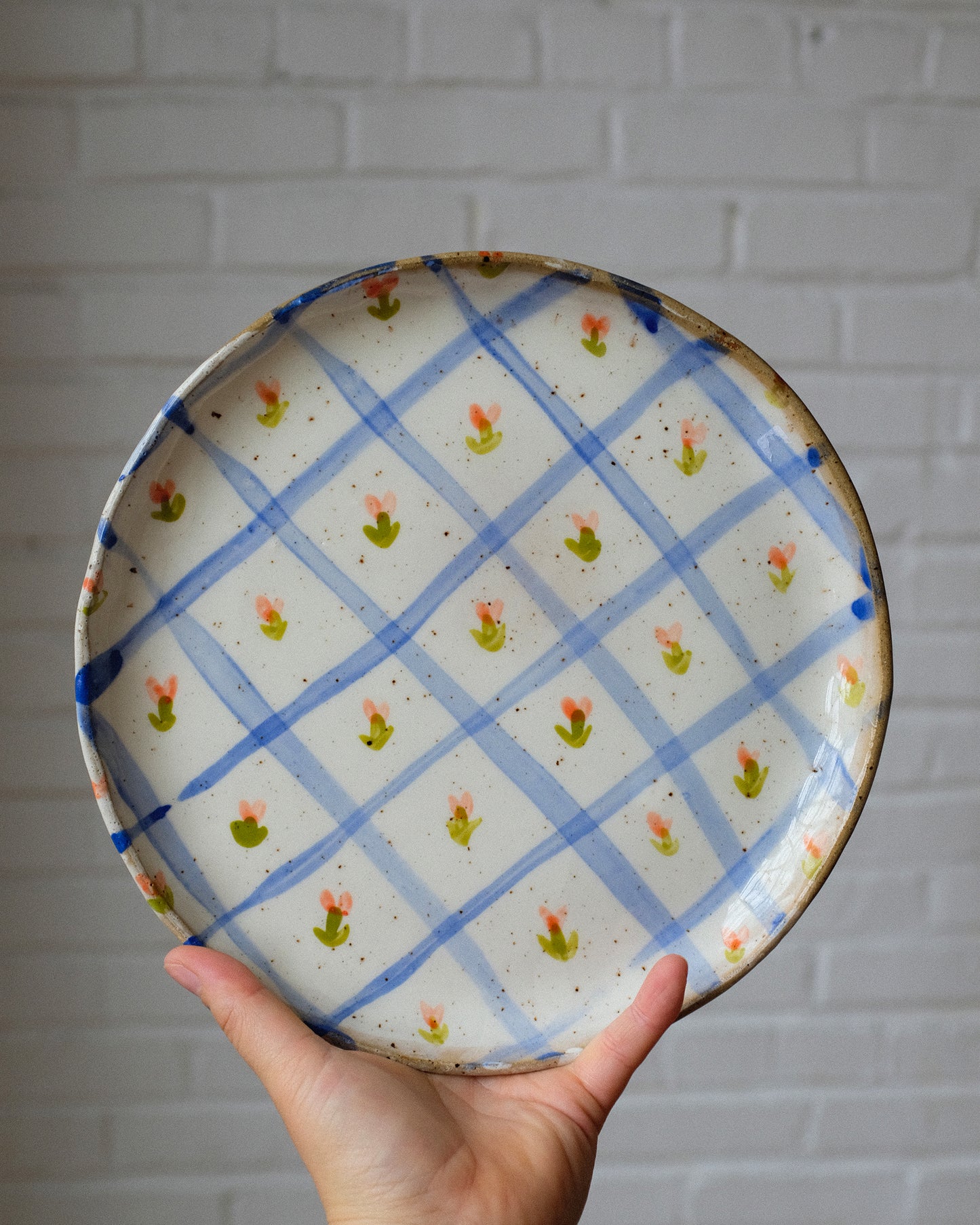 picnic dinner plate 08