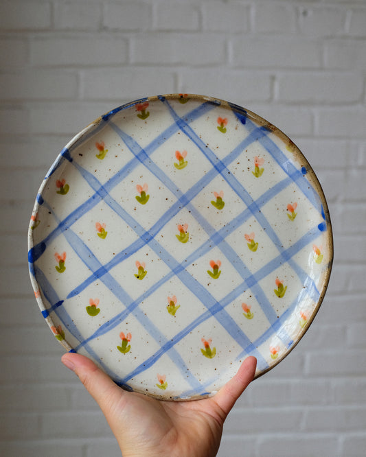 picnic dinner plate 08