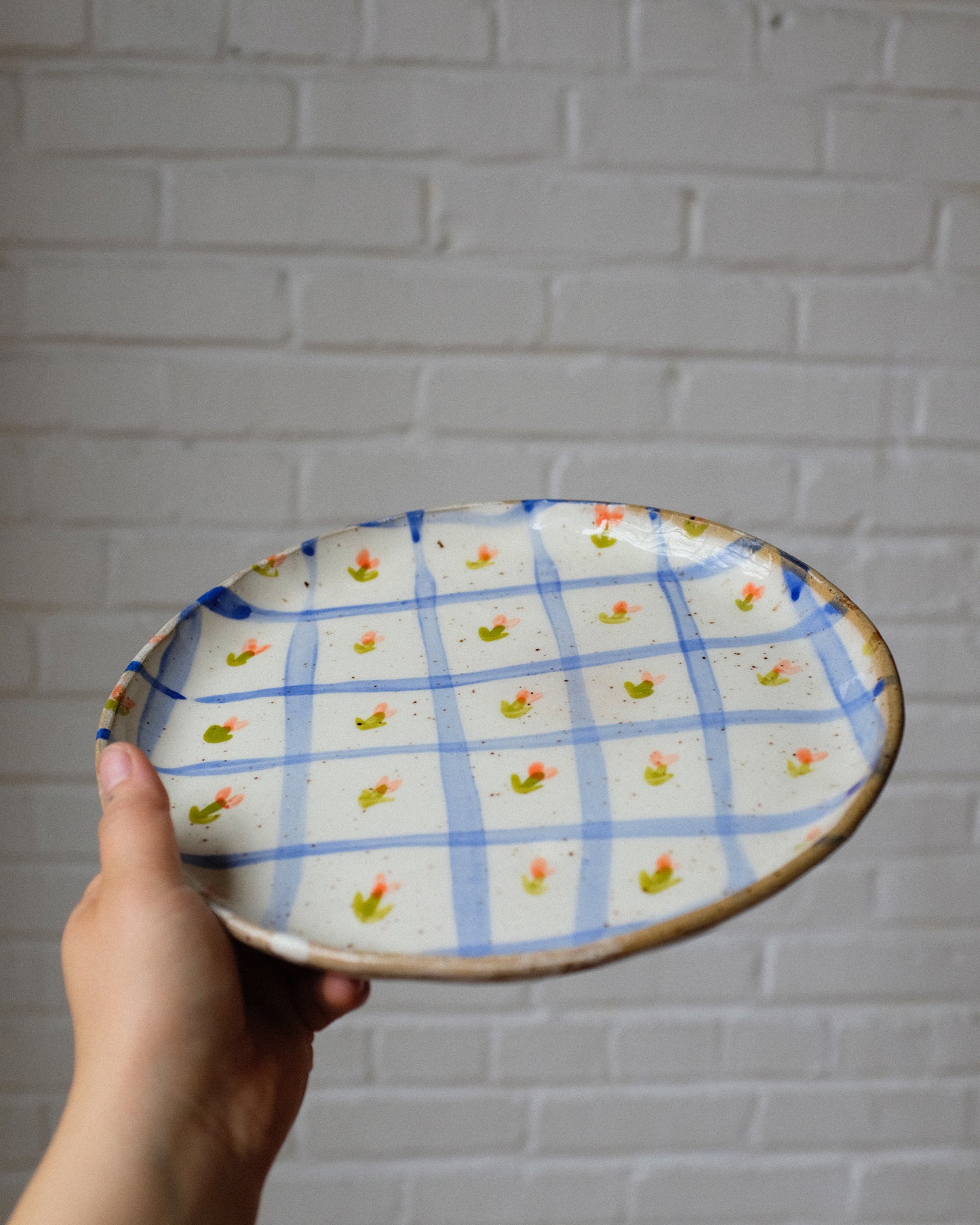 picnic dinner plate 08