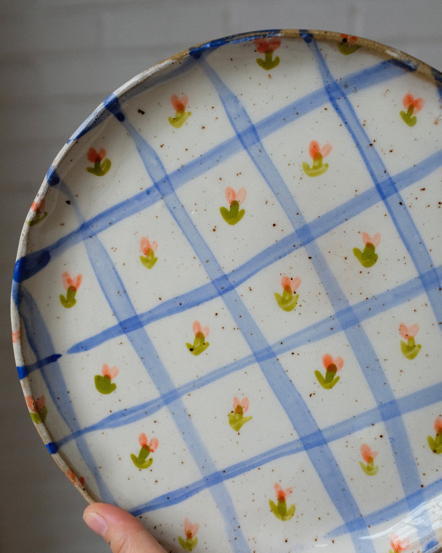 picnic dinner plate 08