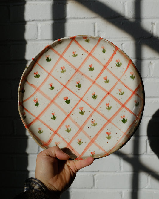 picnic dinner plate 03