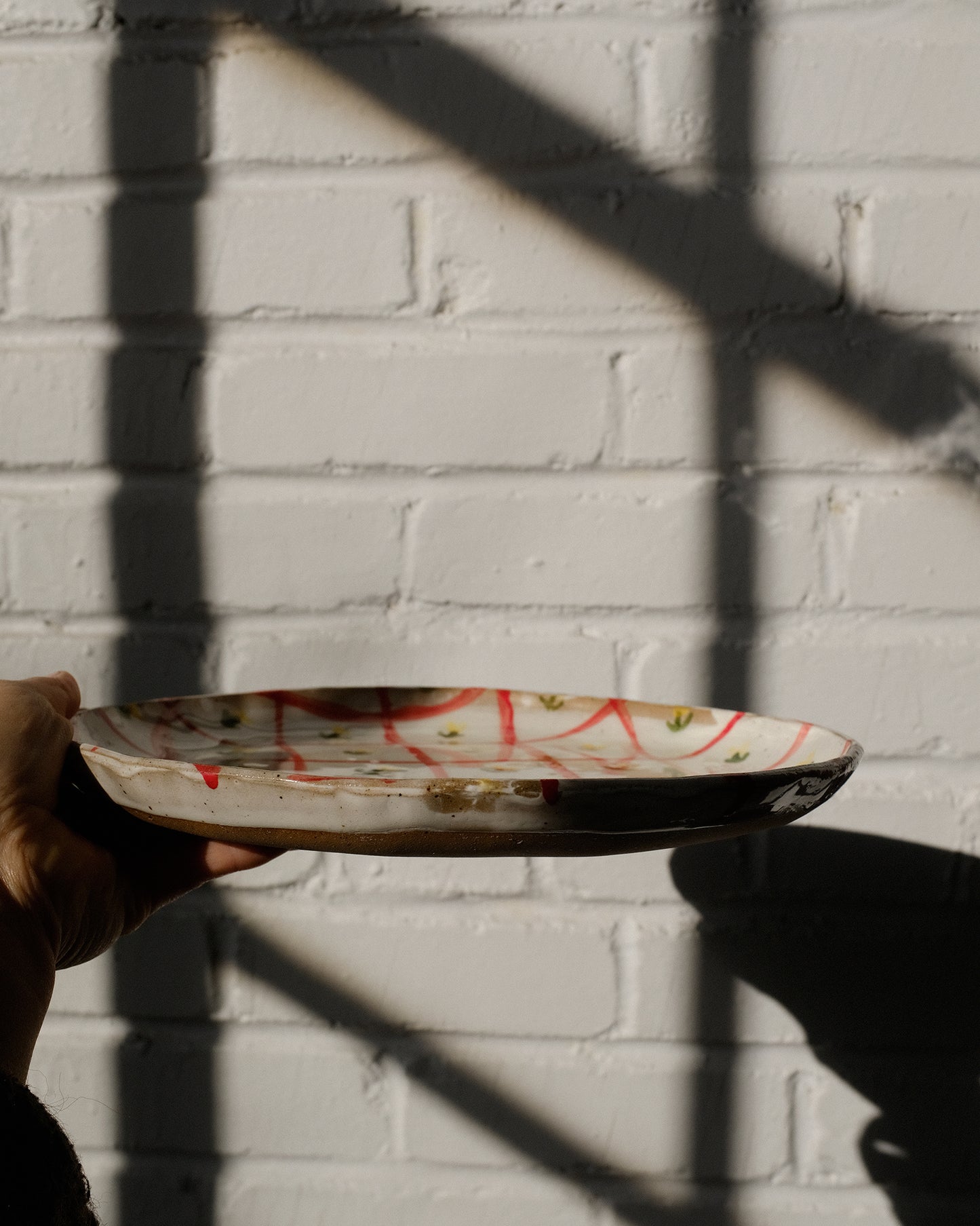 picnic dinner plate 04