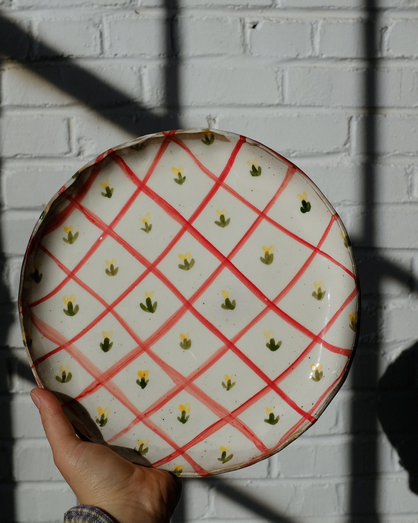 picnic dinner plate 04