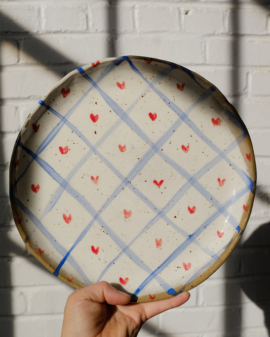 picnic dinner plate 11