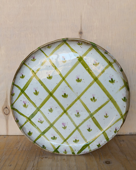 picnic dinner plate 12